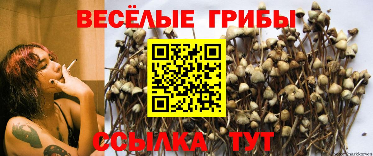 Галлюциногенные грибы Cubensis Дзержинский