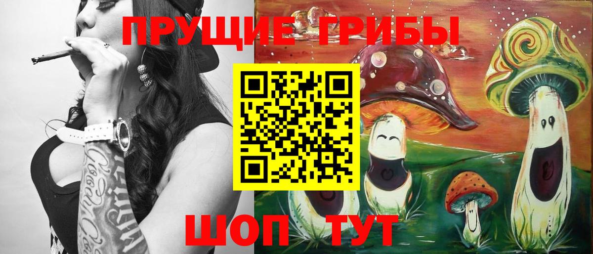 Псилоцибиновые грибы Psilocybe  Вход с VPN  Псилоцибиновые грибы MAGIC MUSHROOMS  Дзержинский 