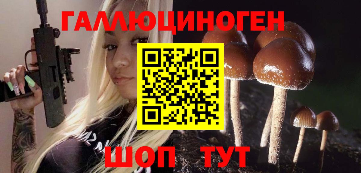 где продают наркотики  Псилоцибиновые грибы Psilocybine cubensis  Дзержинский  Галлюциногенные грибы Cubensis 