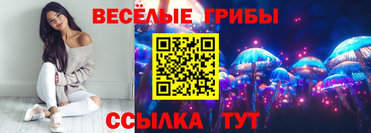 Альфа ПВП  Дзержинский  Где купить наркотики?  Экстази  НБОМе  Вход с VPN  Мяу-Мяу  Гарик 